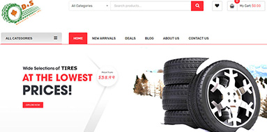 azweb portfolio ds wholesale tires
